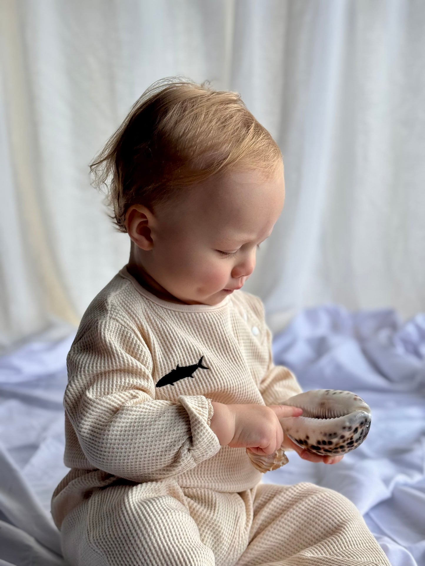 Sea Tikes - Sand Waffle set with Kingfish accent