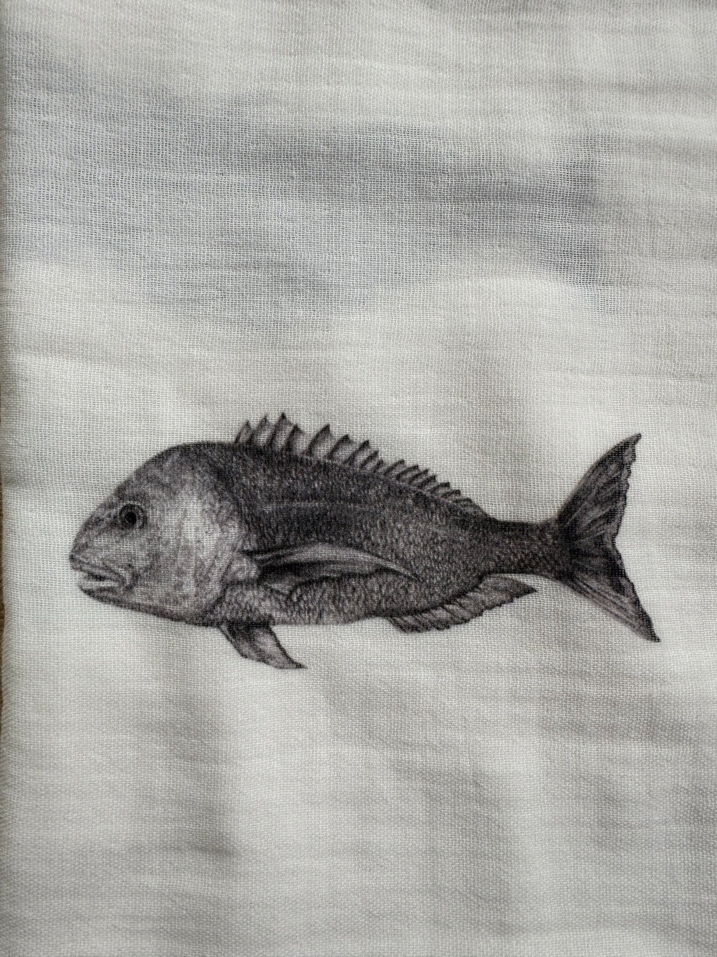 Snapper Baby Muslin Blanket