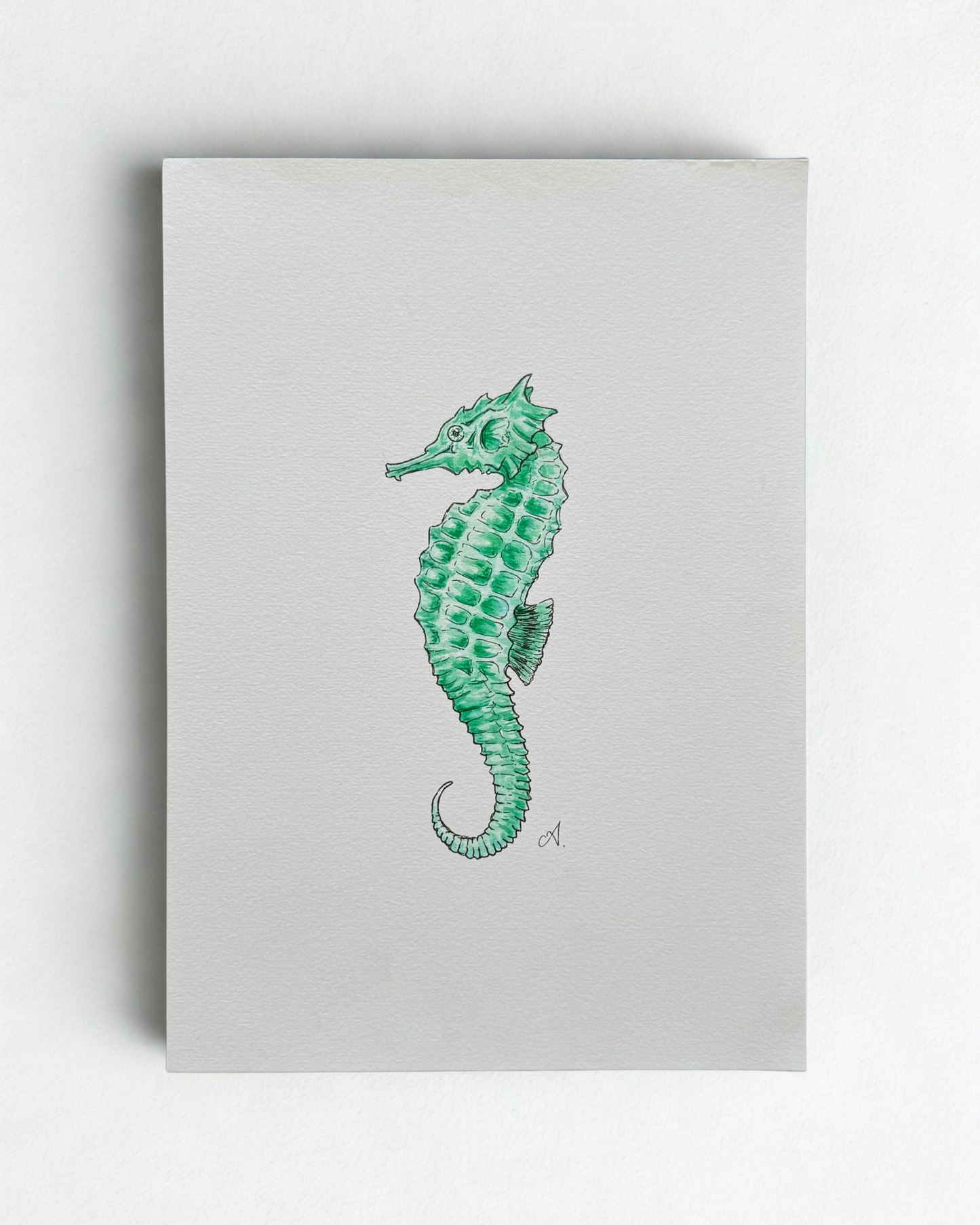 Sea Horse - 2021